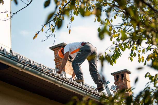 Best Residential Roofing Contractor  in White Pine, TN