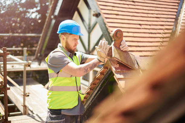 Best Roof Leak Repair  in White Pine, TN
